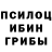 Псилоцибиновые грибы GOLDEN TEACHER Dilya Ataxanova