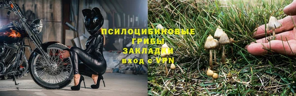 герыч Ростов