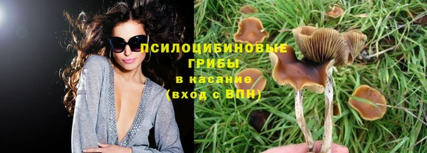 герыч Ростов