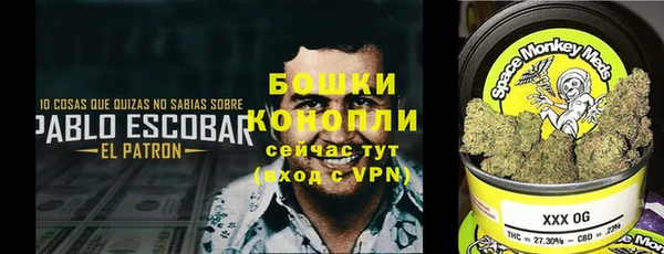 дурь Данков