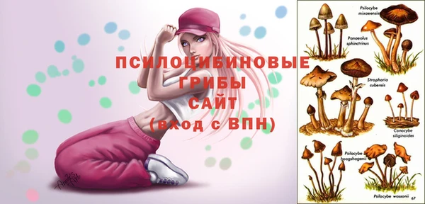 ешки Рославль