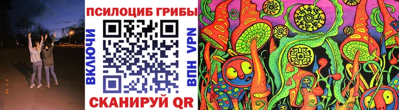 Псилоцибиновые грибы Cubensis  Купить где  Заволжье 